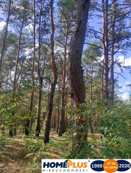 Ogrodzona działka sprzedam