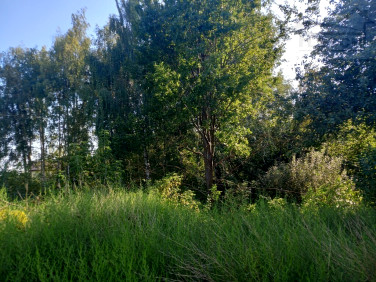 Działka budowlana Brwinów