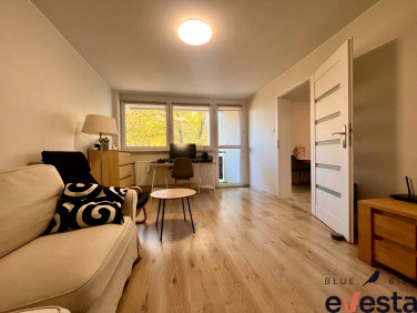 Mieszkanie Wrocław wynajem