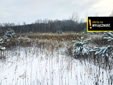 Działka rolna Osiek