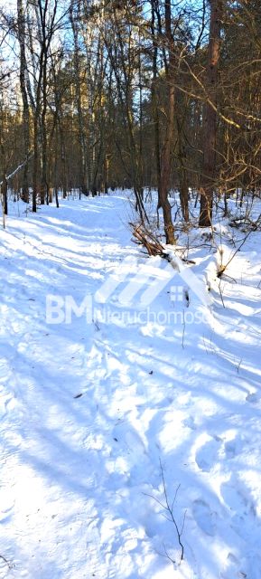Działka budowlana Strzeniówka