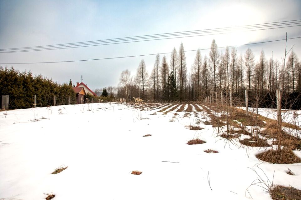 Działka budowlana Joniny