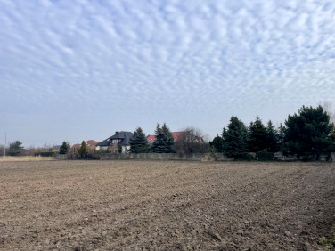 Działka przemysłowa Chludowo