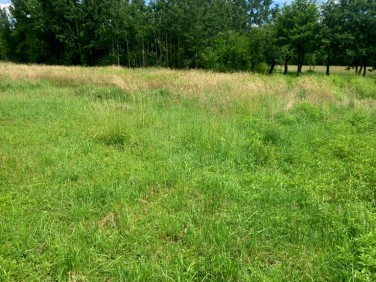 Działka budowlana Oddział