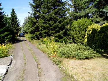 Działka usługowa Poznań