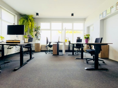 Lokal Rzeszów sprzedaż