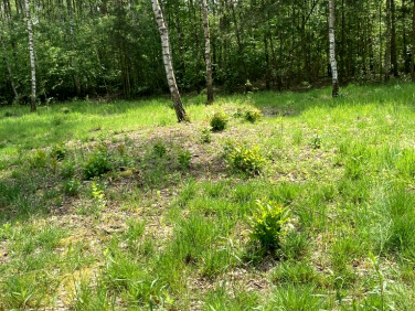 Działka budowlana Sobienie-Jeziory