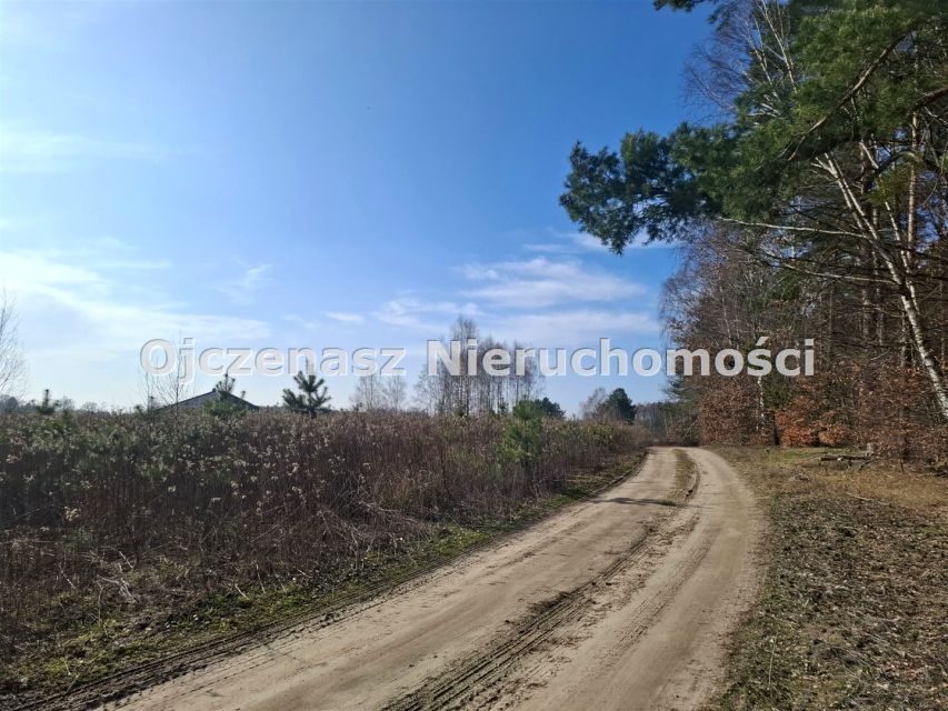 Działka Nowe Dąbie