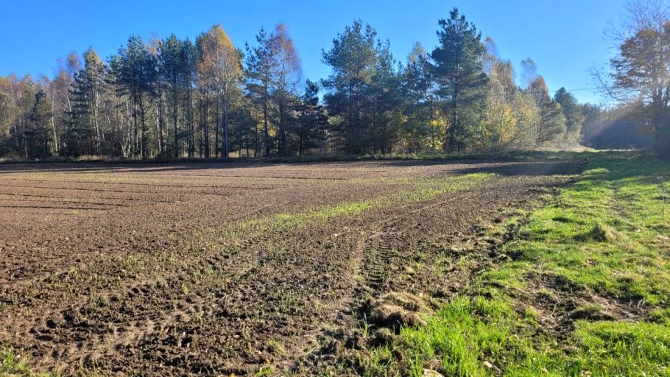 Działka budowlana Donimierz sprzedam