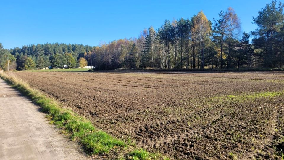 Działka budowlana Donimierz