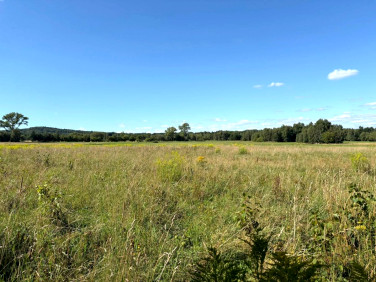 Działka budowlana Kwieciszowice