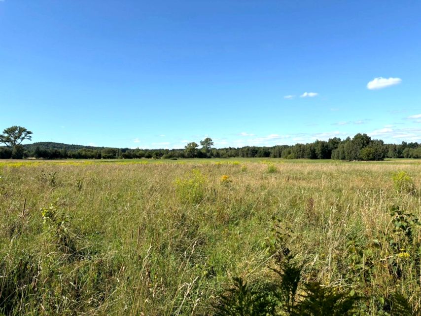 Działka budowlana Kwieciszowice