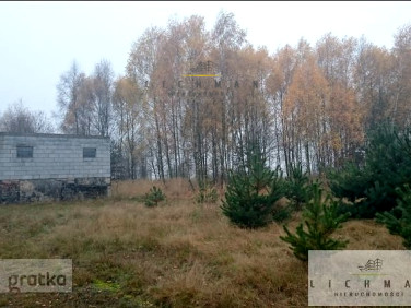 Działka budowlana Siucice-Kolonia