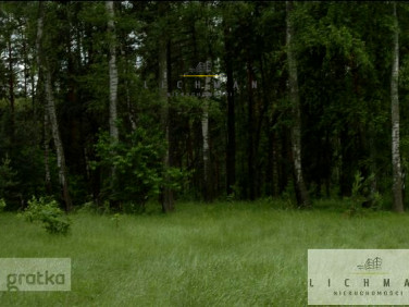 Działka leśna Kwiatkowice-Las