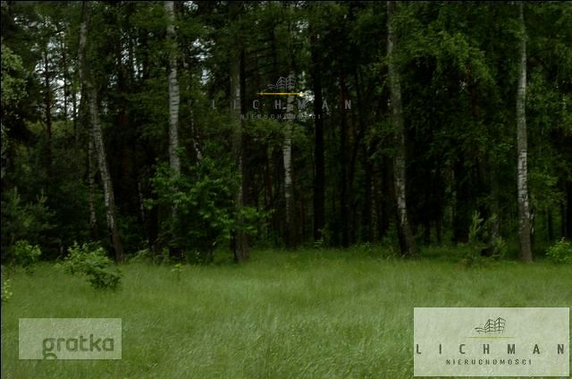 Działka leśna Kwiatkowice-Las