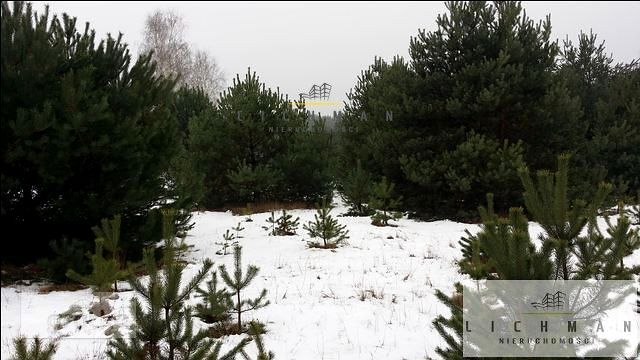Działka rolna Zarzęcin