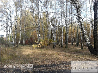 Działka leśna Łódź