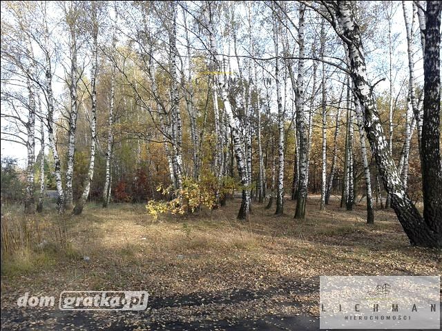 Działka leśna Łódź