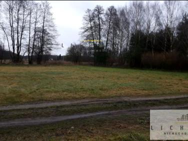 Działka rolna Wilków