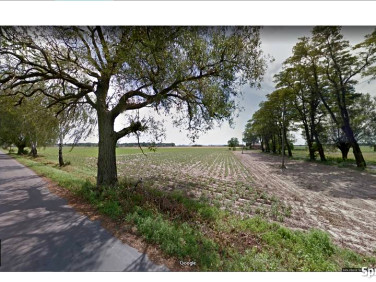 Działka rolna Rochaliki