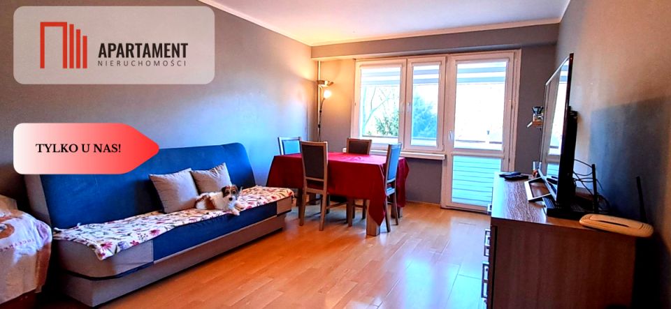 Mieszkanie Kościelec sprzedaż