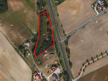 Działka Golub-Dobrzyń