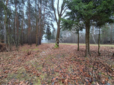 Działka budowlana Stara Wieś