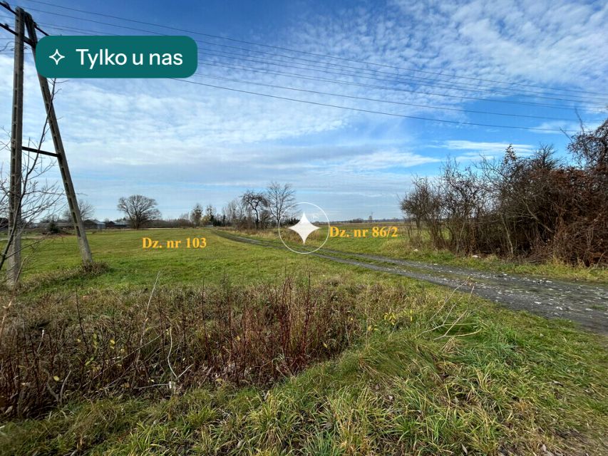 Działka rolna Żuki