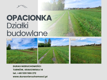 Pusta działka Brzostek