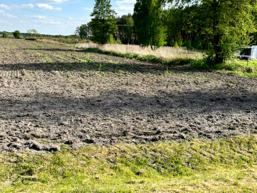 Działka budowlana Galewice