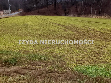 Działka budowlana Wierzbna