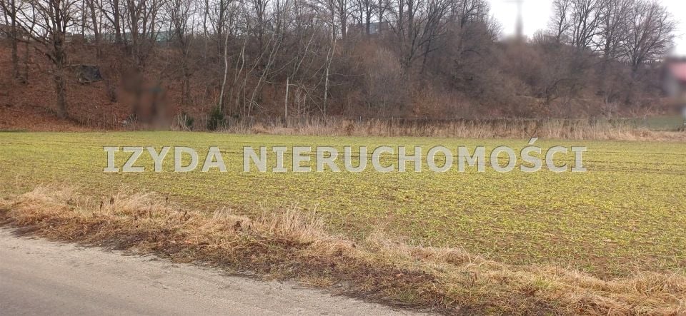 Zdjęcie 2