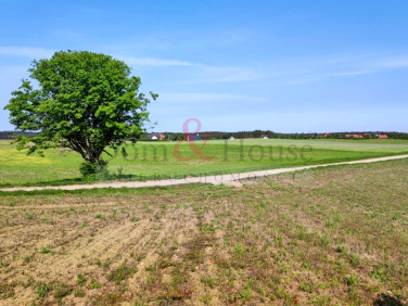 Działka rekreacyjna Niesiołowice