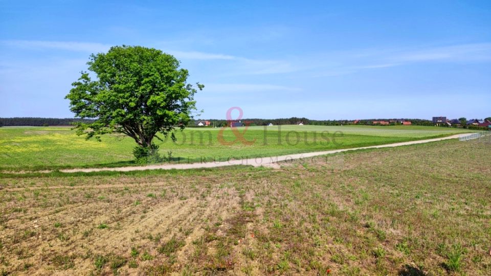 Działka rekreacyjna Niesiołowice