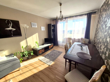 Mieszkanie Malbork sprzedaż