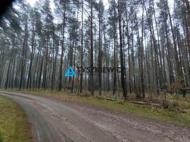 Działka rolna Jęczniki Wielkie