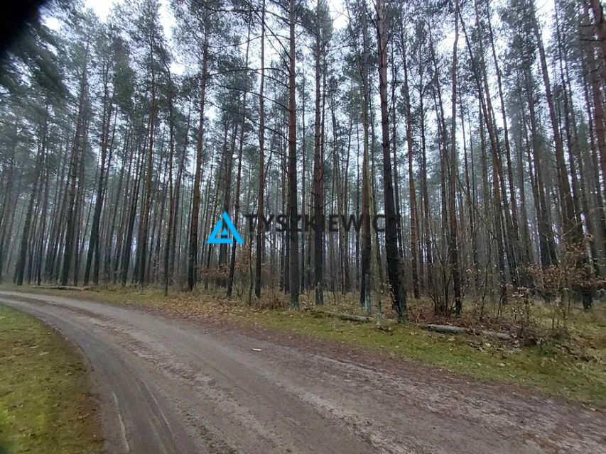 Działka rolna Jęczniki Wielkie