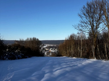 Działka rolna Bieliny