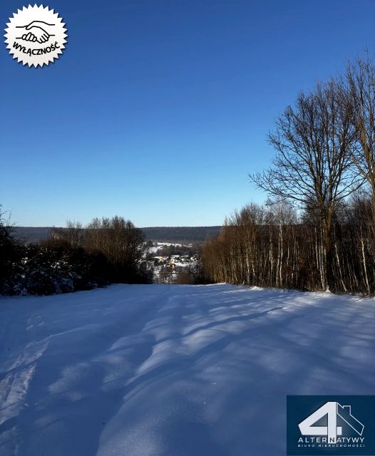 Działka rolna Bieliny