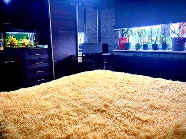 Dom Bobrowniki Wielkie sprzedaż