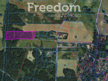 Działka leśna Gulbity