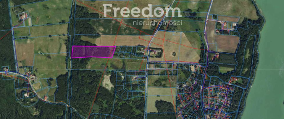 Działka leśna Gulbity