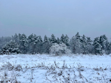 Działka Świebodzice