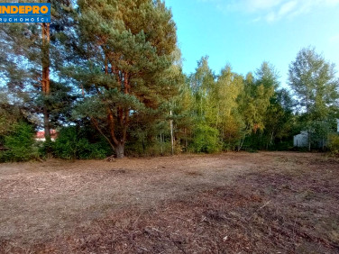 Działka budowlana Kołaków