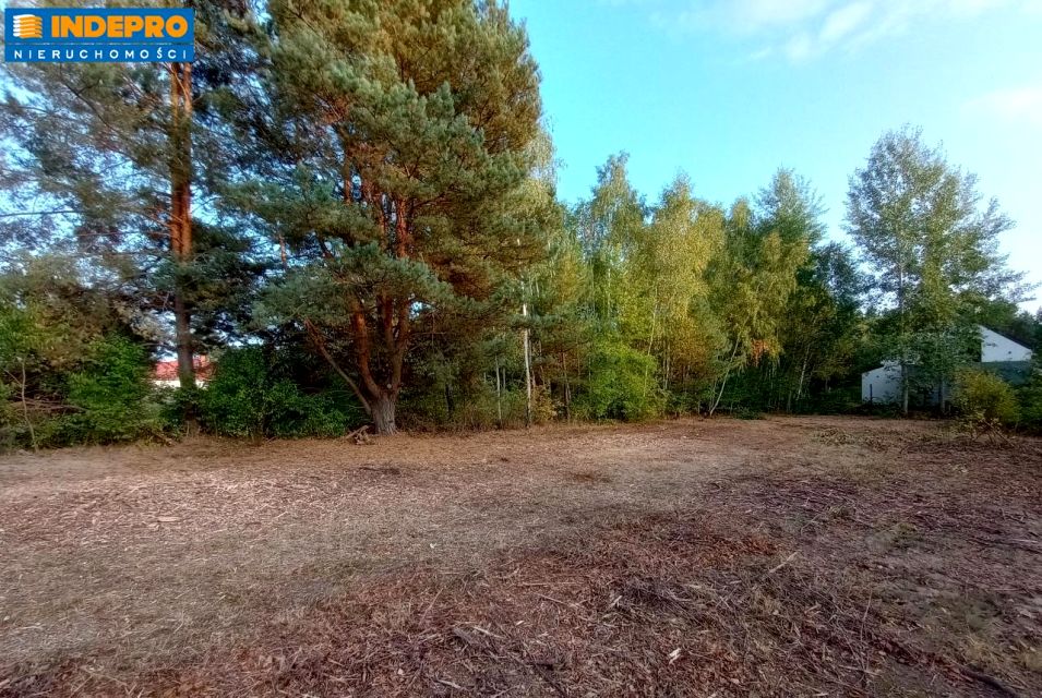 Działka budowlana Kołaków