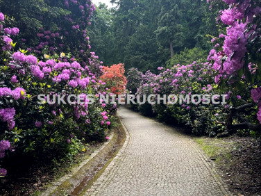 Mieszkanie Szczawno-Zdrój