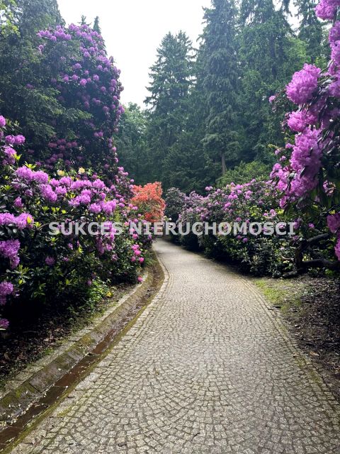 Mieszkanie Szczawno-Zdrój