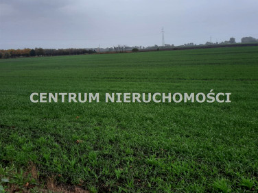 Działka rolna Sicienko