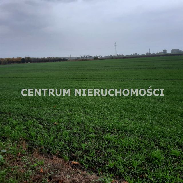 Działka rolna Sicienko