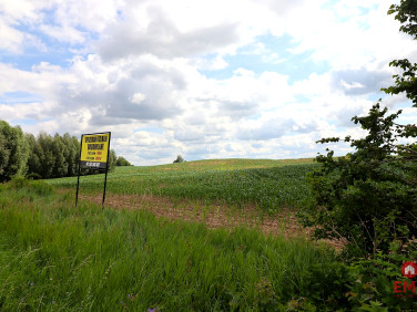 Działka nad jeziorem